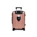 IMG_2656 GO SWISS ROZ